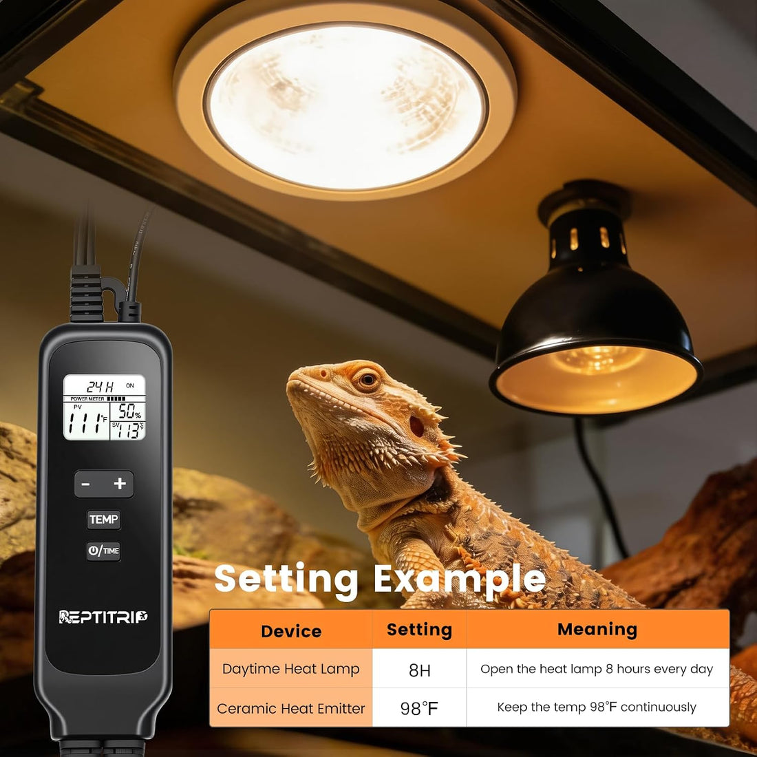 2 in 1 Reptile Dimming Thermostat with 2 Socket for Timer & Heating