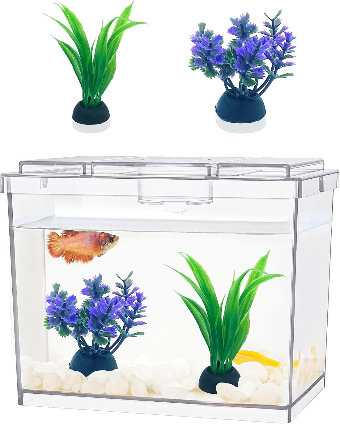 MoonOrange Mini Betta Fish Tank Kit with LED Light Base