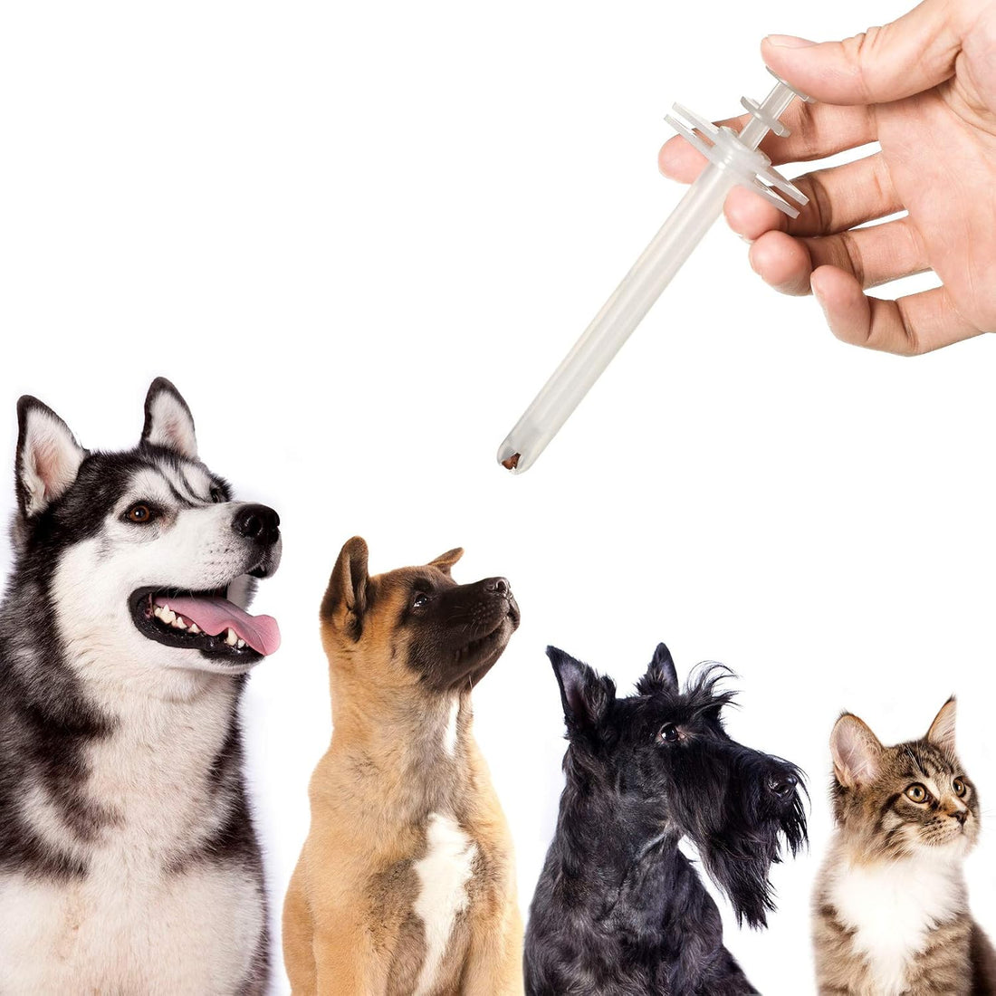 Patelai 4 Pieces Pet Pill/Tablet Syringe with Safety Tip Small Animal