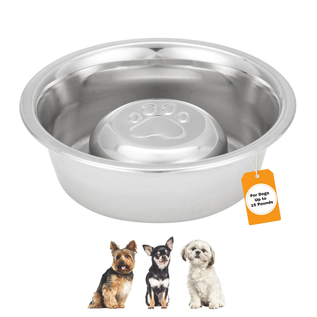 Neater Pet Brands Stainless Steel Slow Feed Dog Bowl