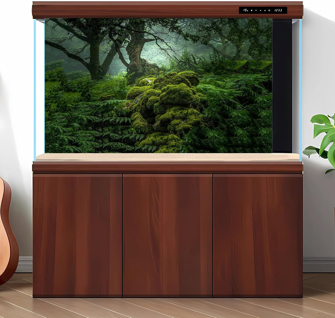 Forest Aquarium Background Dense Woods Moss Natural Landscape Reptile