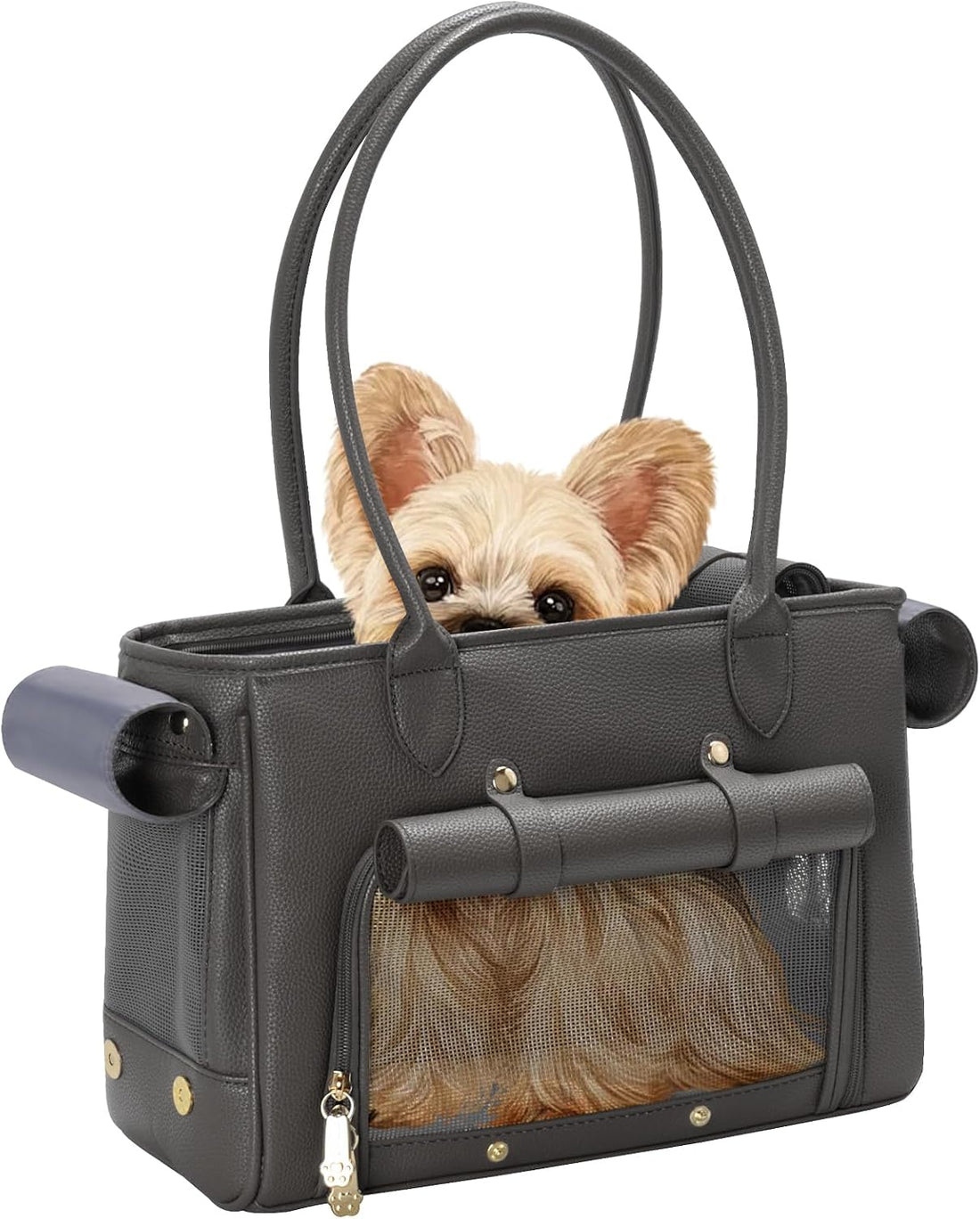 Fashion Pet Carrier Purse for Small Cat and Dog