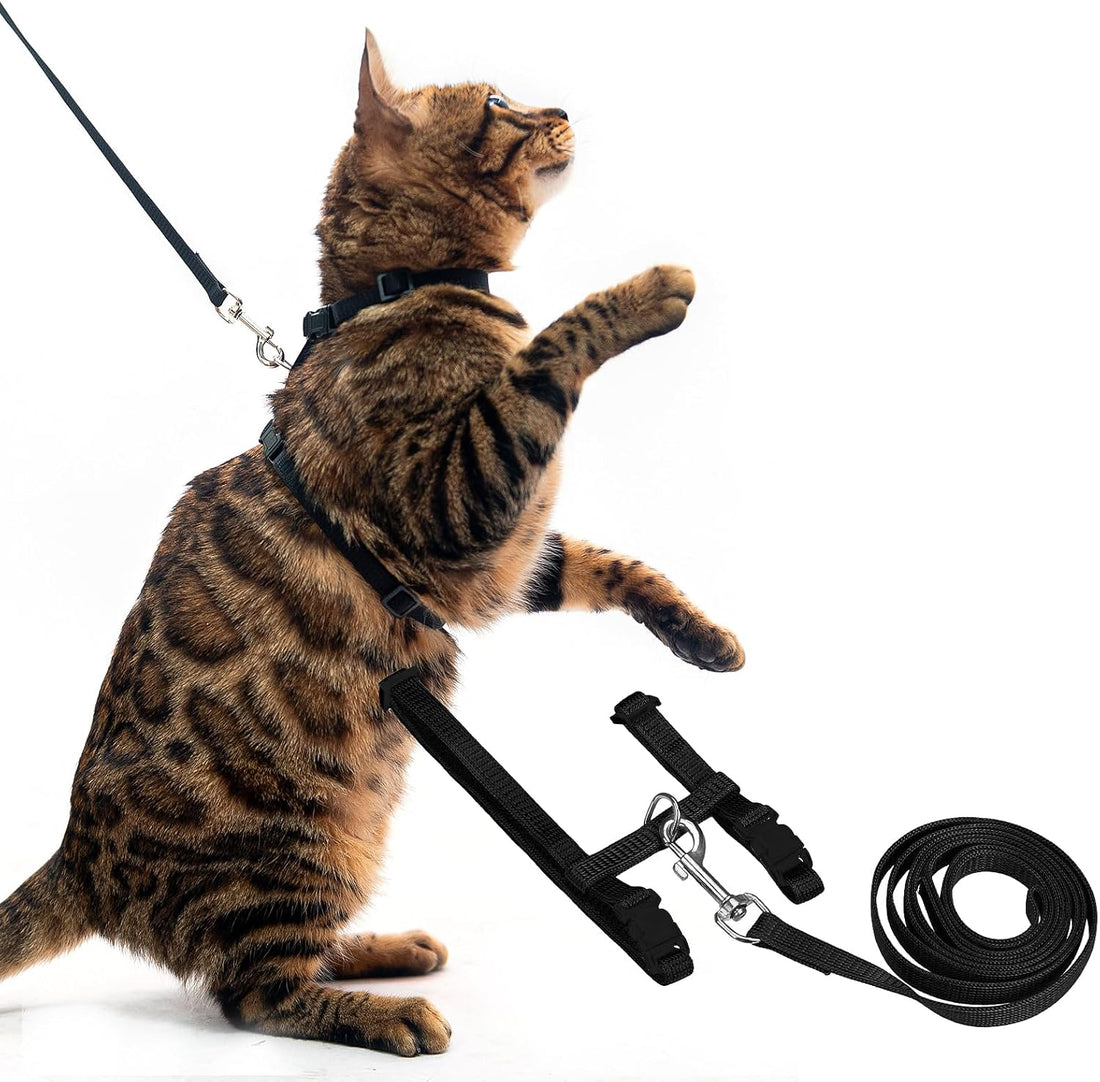PUPTECK Adjustable Cat Harness and Leash Set Escape Proof Kitten