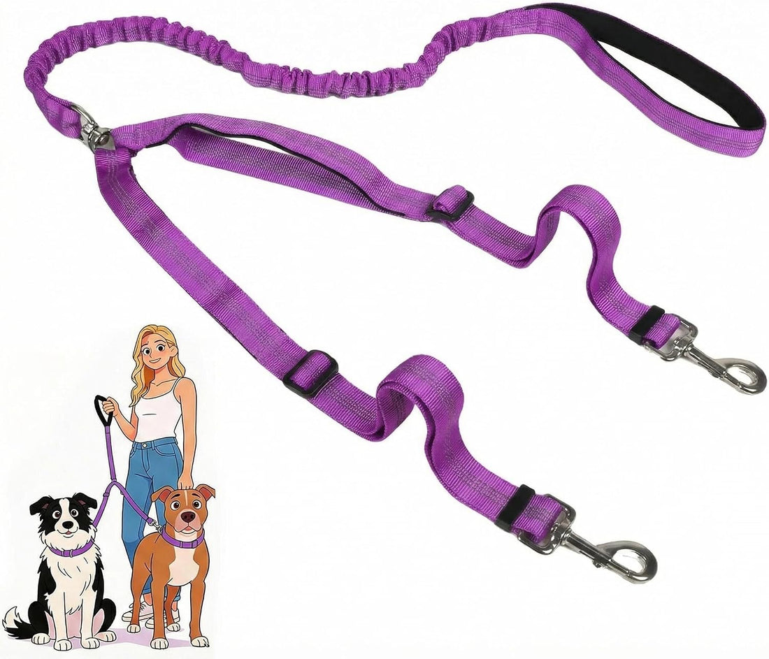 Double Leash for Two Dogs, No Tangle Bungee Dog Leash