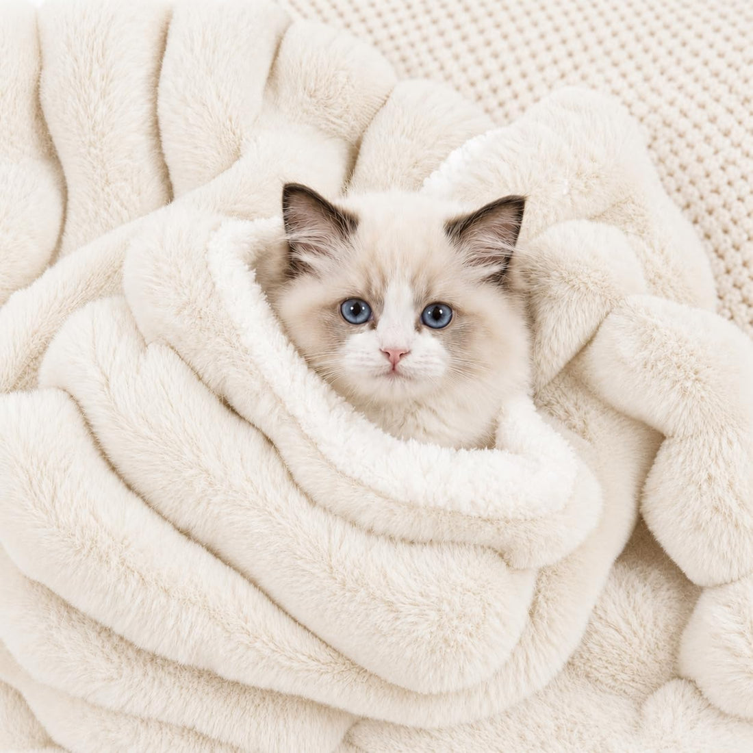 Cat Blanket for Indoor Cats, Soft Rabbit Fur Kitten Blanket 21x17