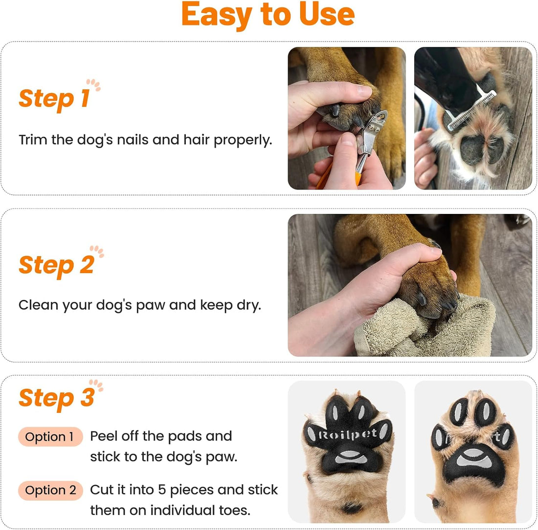 Dog Paw Pads for Senior Dogs to Prevent Slipping on Hardwood Floors