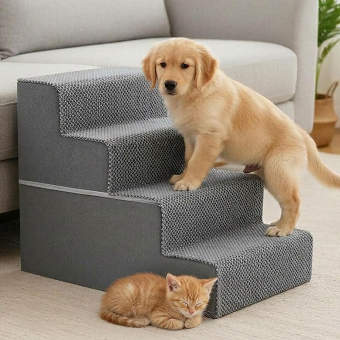 3-Step Dog Stairs for Small Dogs and Cats, 16" H Dog Steps