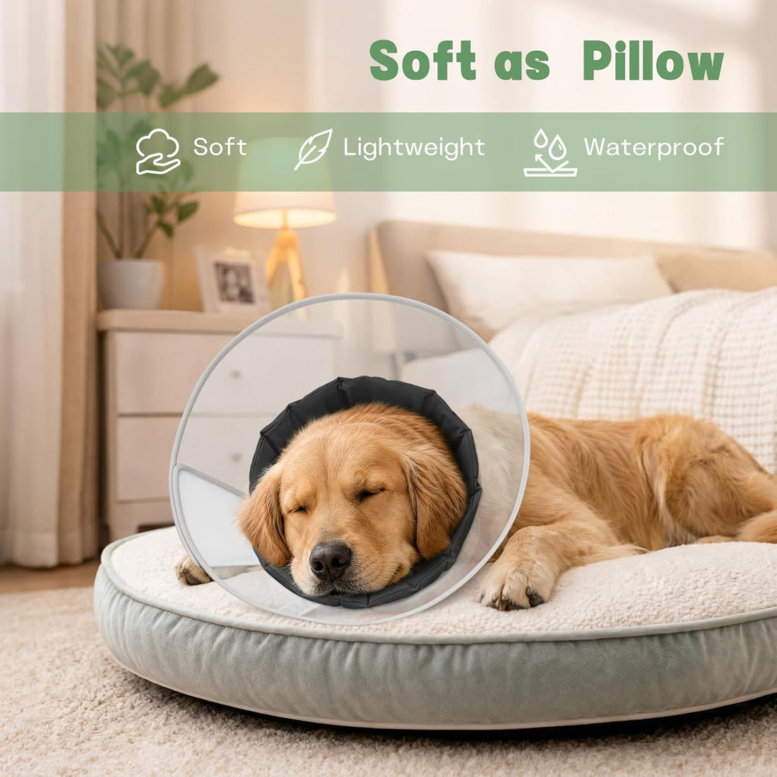 Dog Cone Collar for Recovery