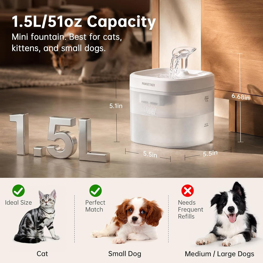 PAWGETHER® Cat Water Fountain with Magnetic Pump 51oz/1.5L Dog Water