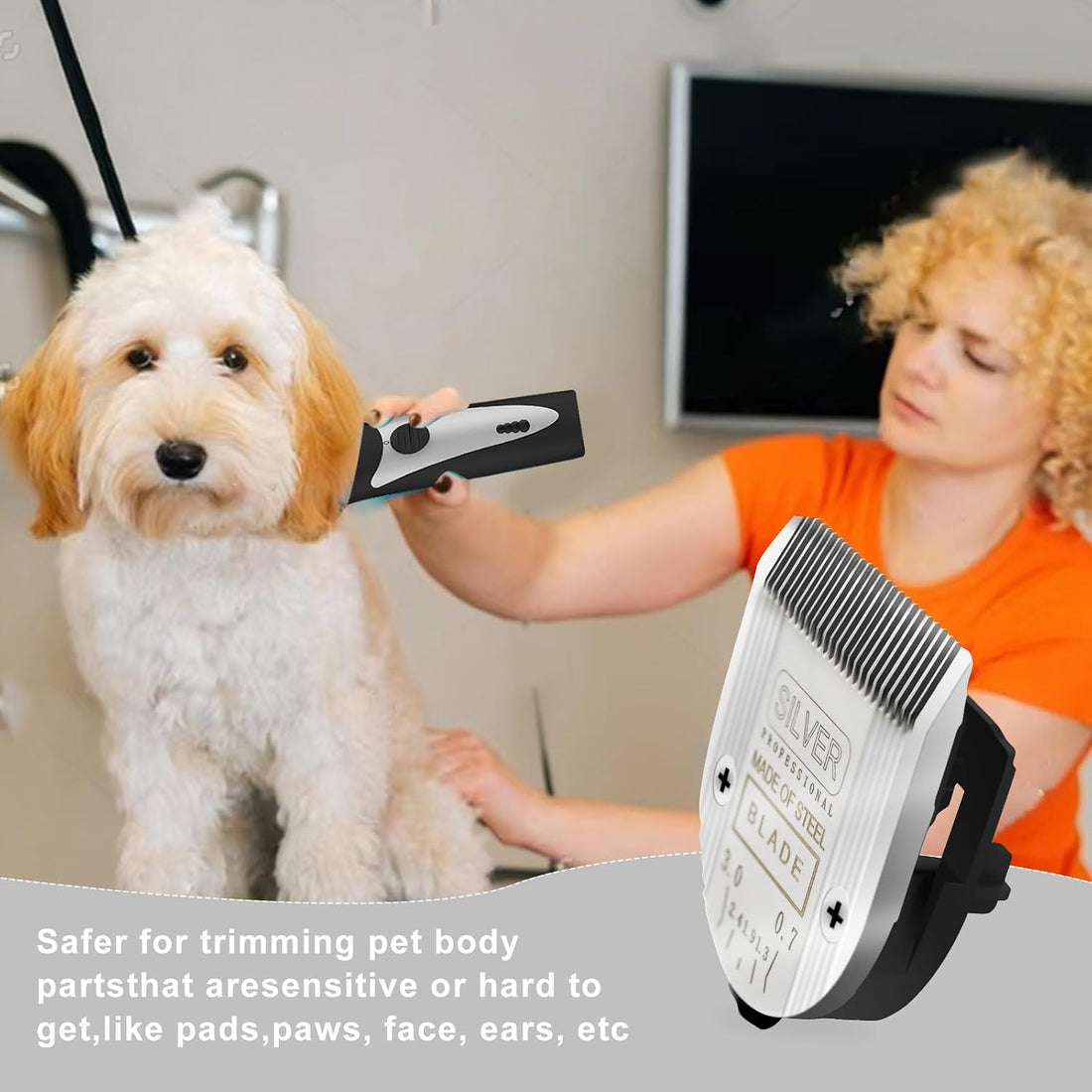 Sodaer 5 in 1 Replacement Blades Compatible with WAHL Bravura