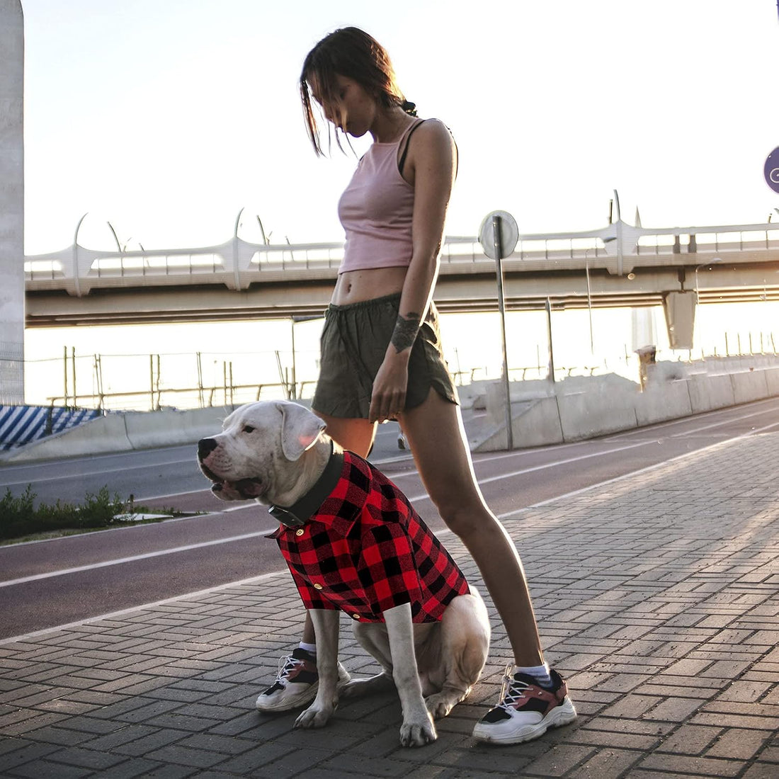 Plaid Dog Shirt Red Buffalo Dog Outfit Soft Casual Pet Clothes