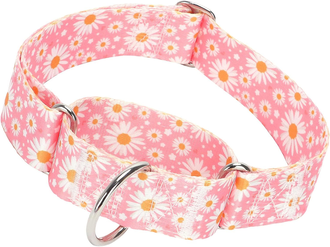 Wide Martingale Collar for Dogs,Red Floral No Pull Dog Collar