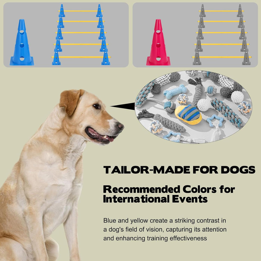 Dog Agility Hurdle Cone Set, 10er 12.5Inch Agility Cones and 5er