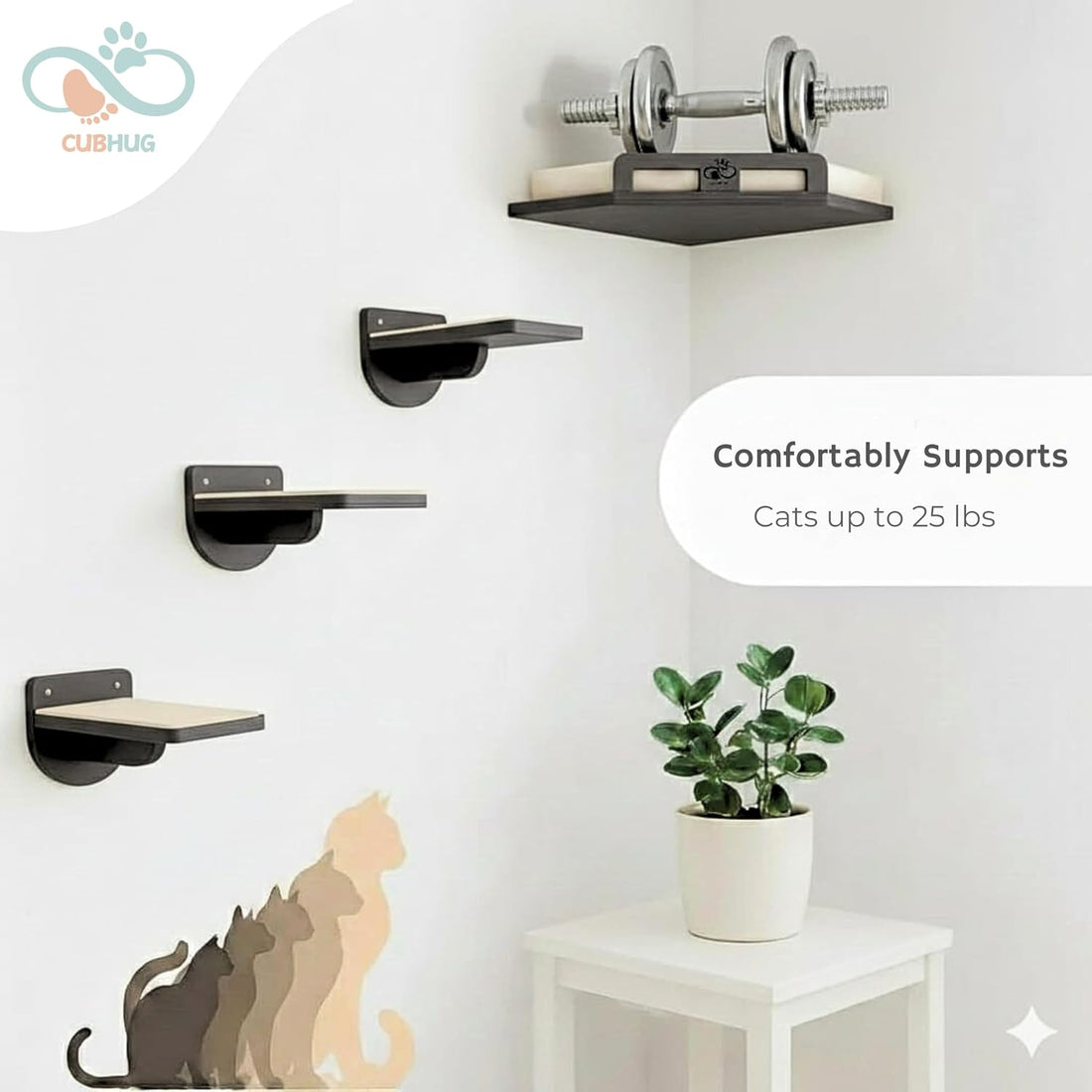 Cat Wall Shelves, Solid Wood Corner Bed, 3 Steps, Up to 25 lb, Black