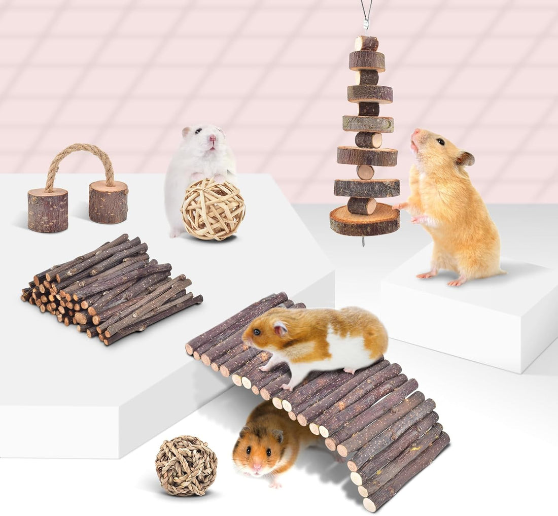 ERKOON 11 Pack Chinchillas Chew Toys, Toys Accessories for Teeth Care