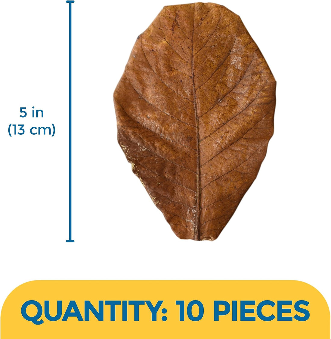 SunGrow 10 Pack Axolotl Indian Almond Leaves for Aquarium, 5-Inches