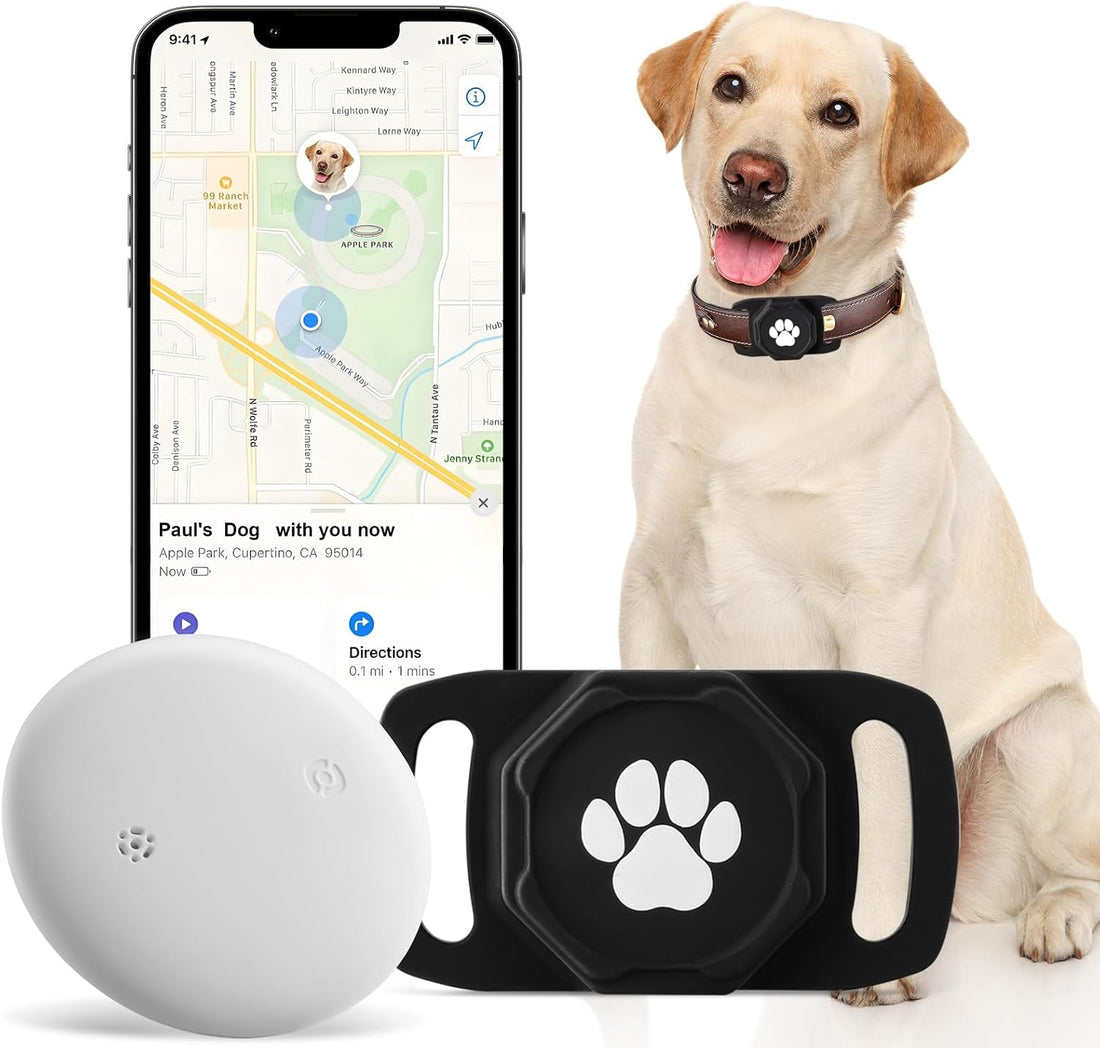 Smart Pet Tracker for Collar