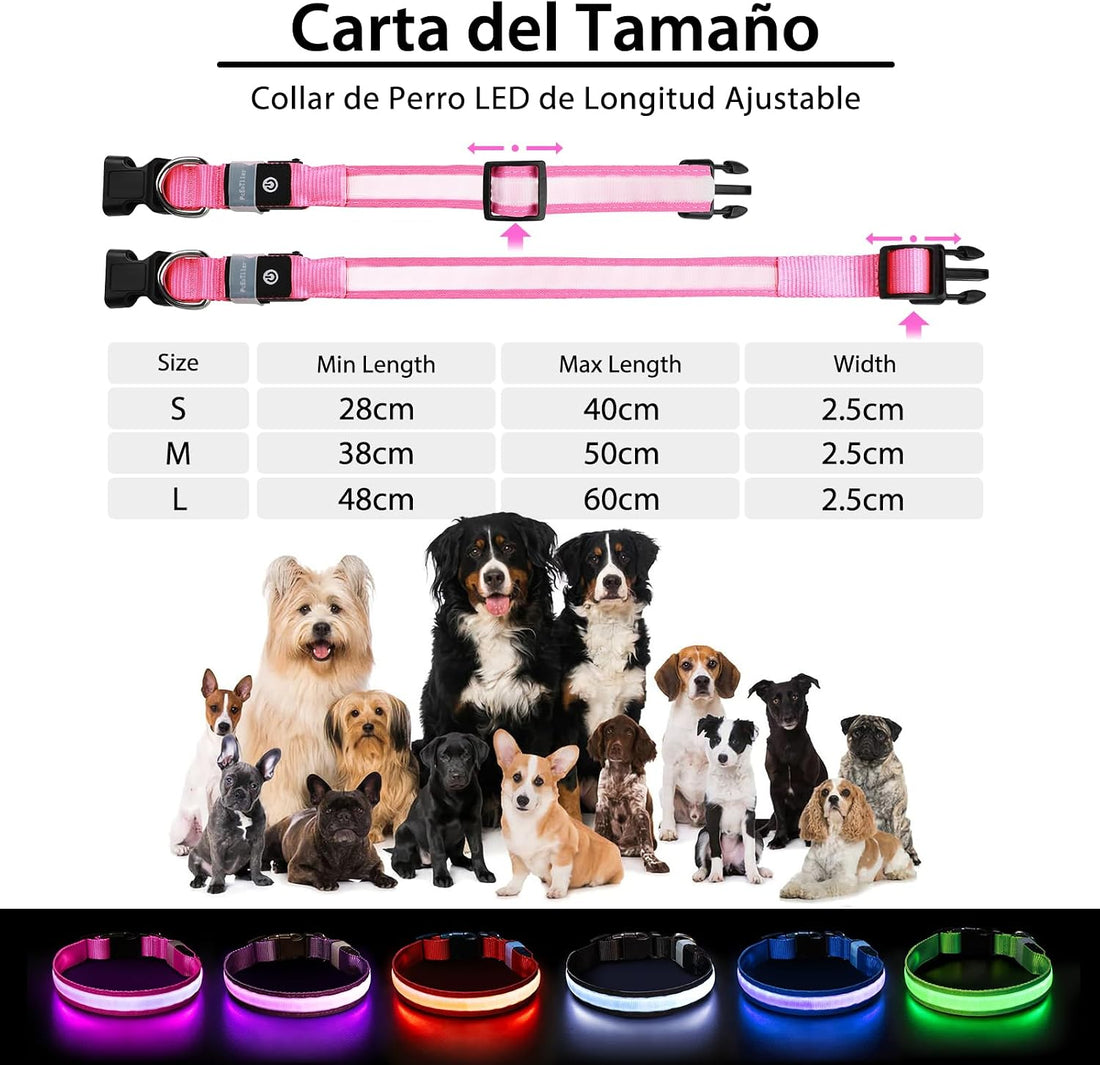 PcEoTllar Light up Dog Collar, Safe for Night Walking, Adjustable
