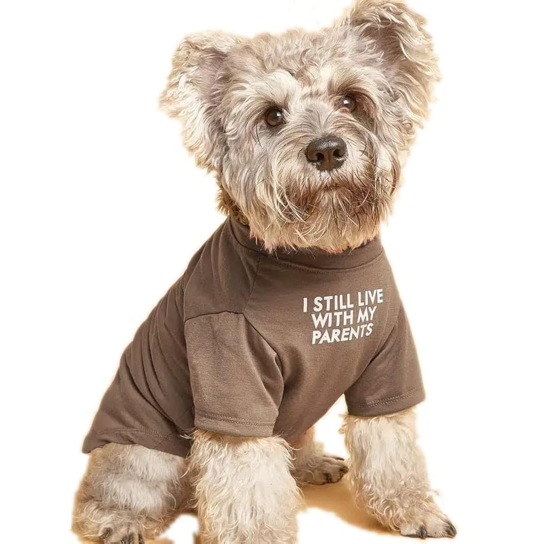 Cute Dog Clothes, T Shirt for Medium and Small Dogs Girl