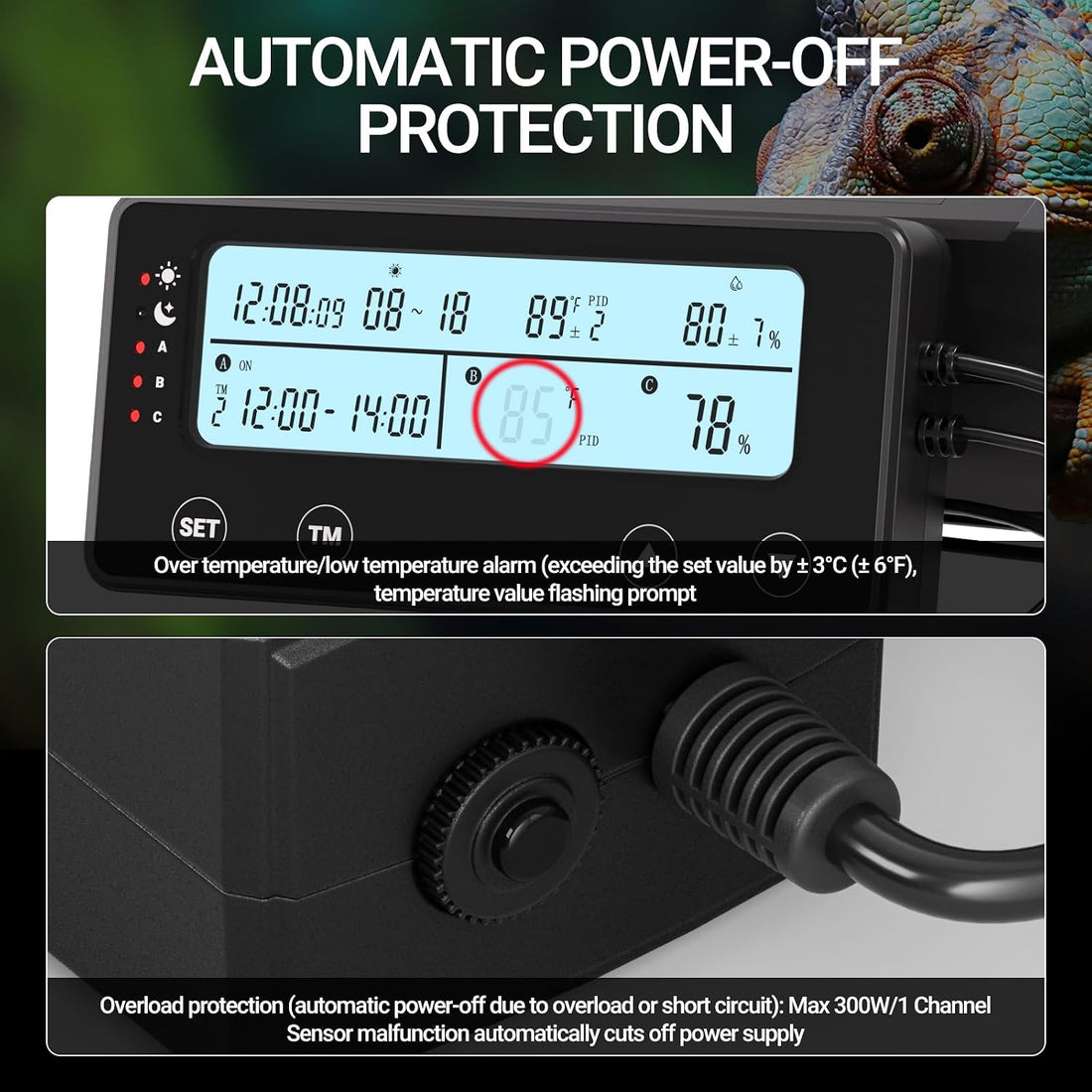 Reptile Temperature Controller with Timer