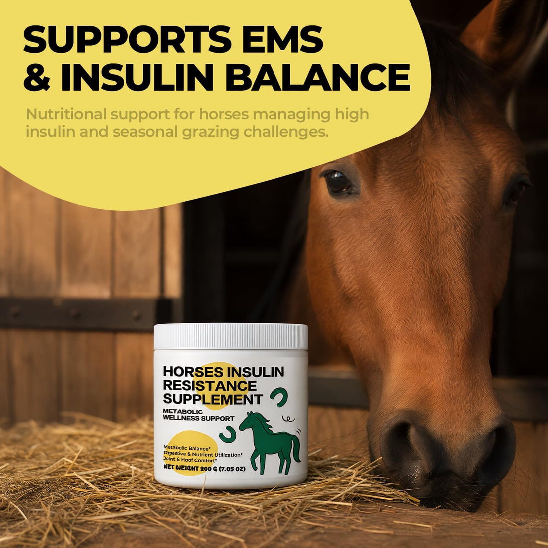Insulin Resistance Supplement for Horses