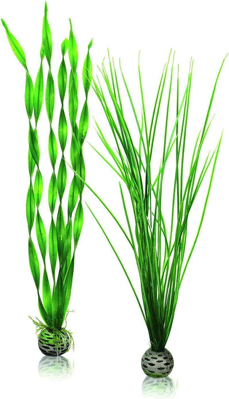 biOrb Silk Plant Set Medium Green & Purple