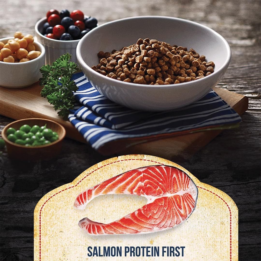 Fussie Cat Market Fresh Salmon Recipe,Dry Cat Food