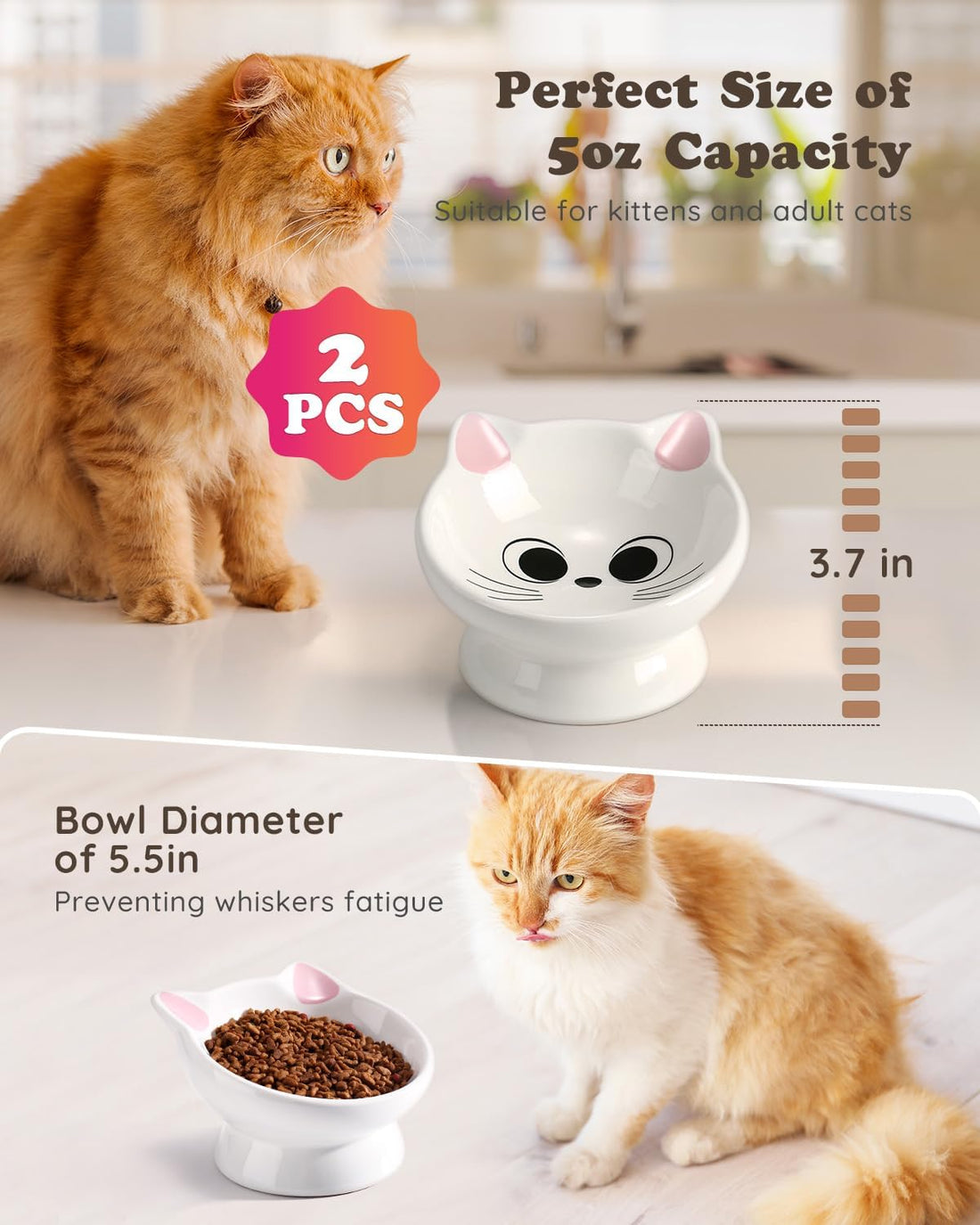 Raised Ceramic Cat Food Bowl, Tilted for Neck Comfort