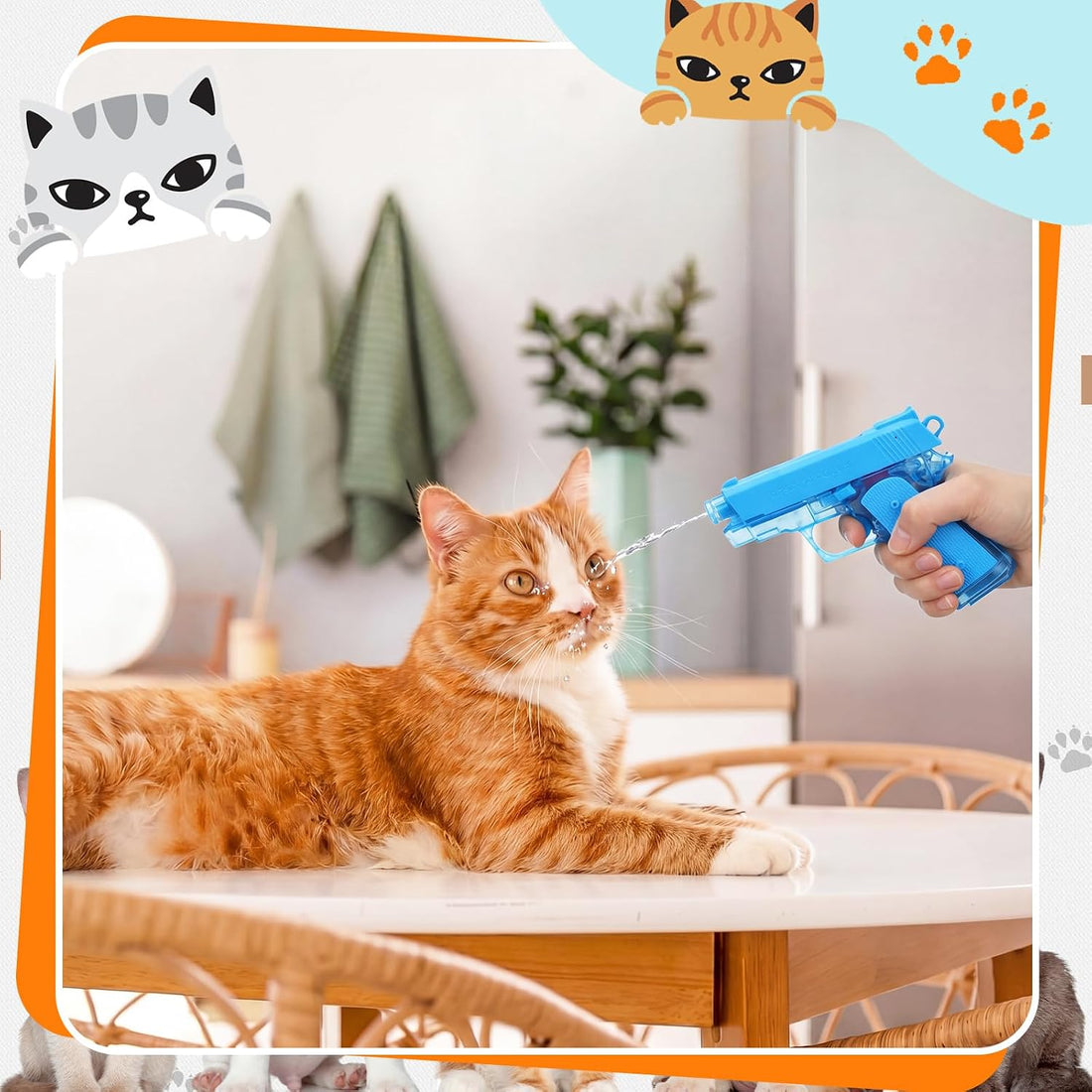 Geelin 2 Pack Squirt Spray for Cats Dogs Training