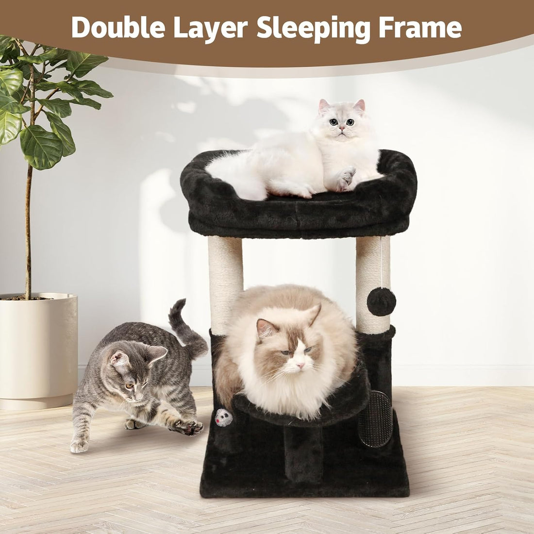 UWELLPETS 24" Tall Small Cat Tree Tower for Indoor Cats, Black