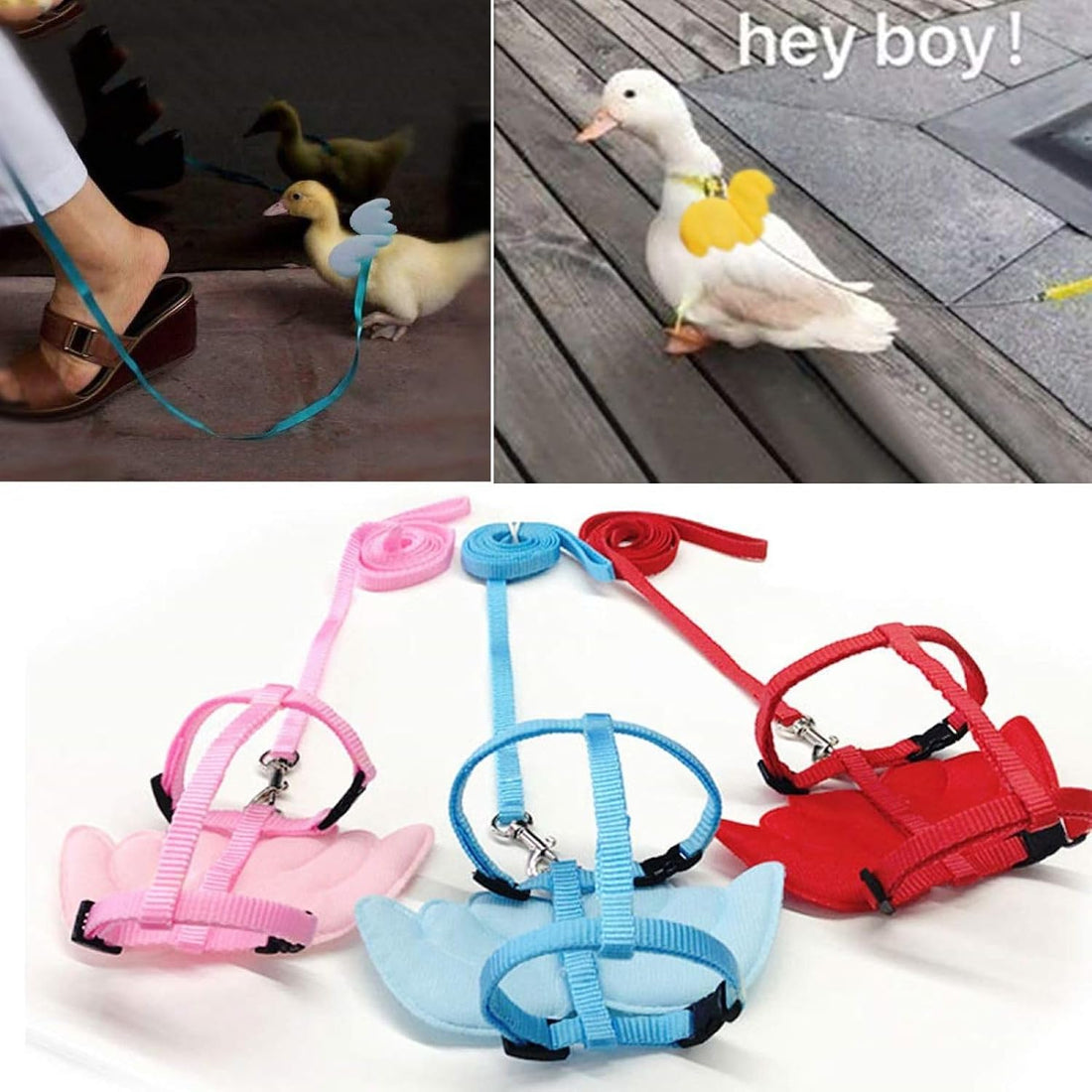 QBLEEV Pet Cole Duck Outside Walking Harness Leash with Cute Wings