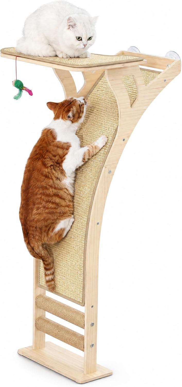 Cat Scratching Post with Large Window Perch