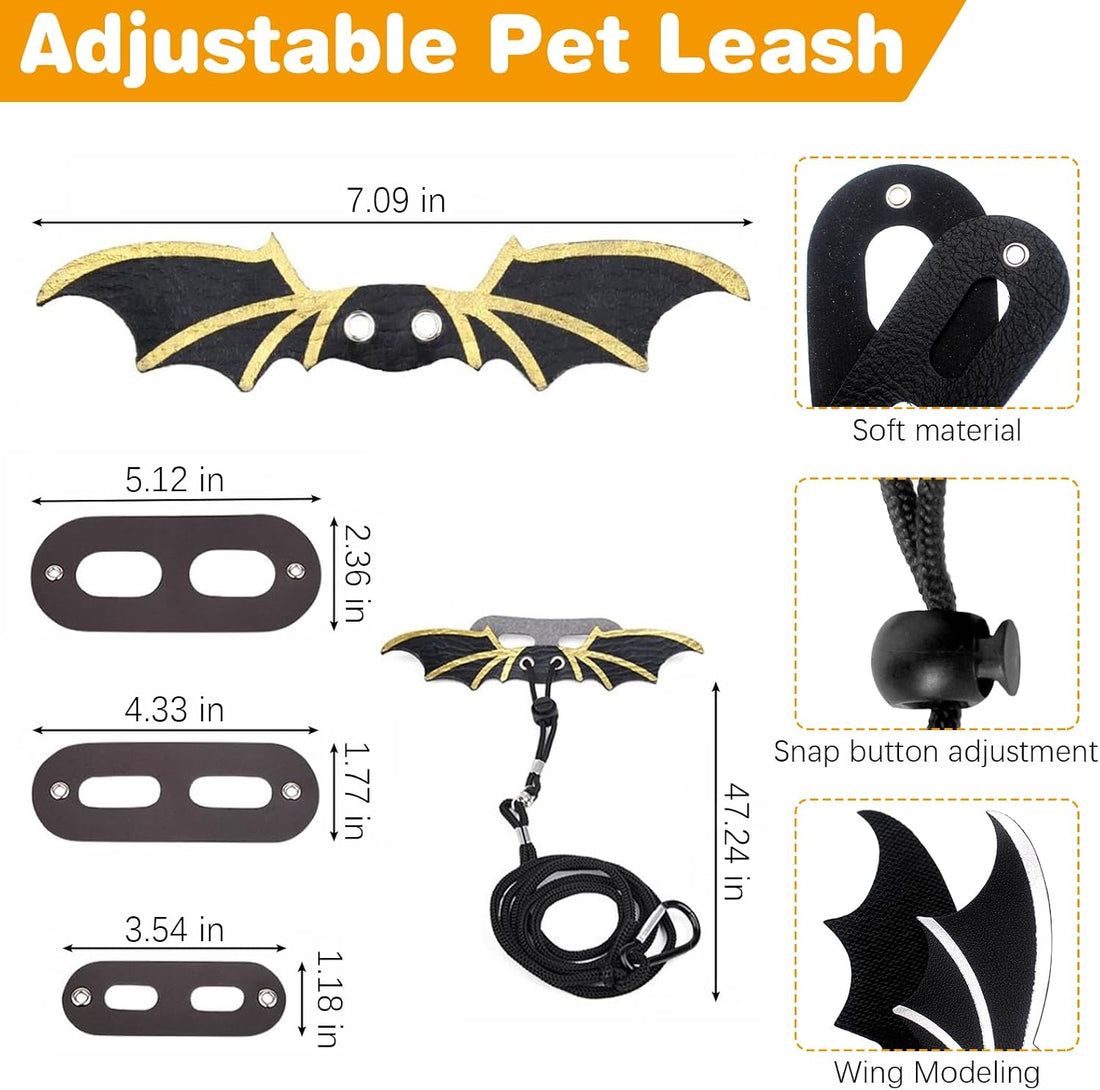 kathson Bearded Dragon Carrier with Harness and Leash Set