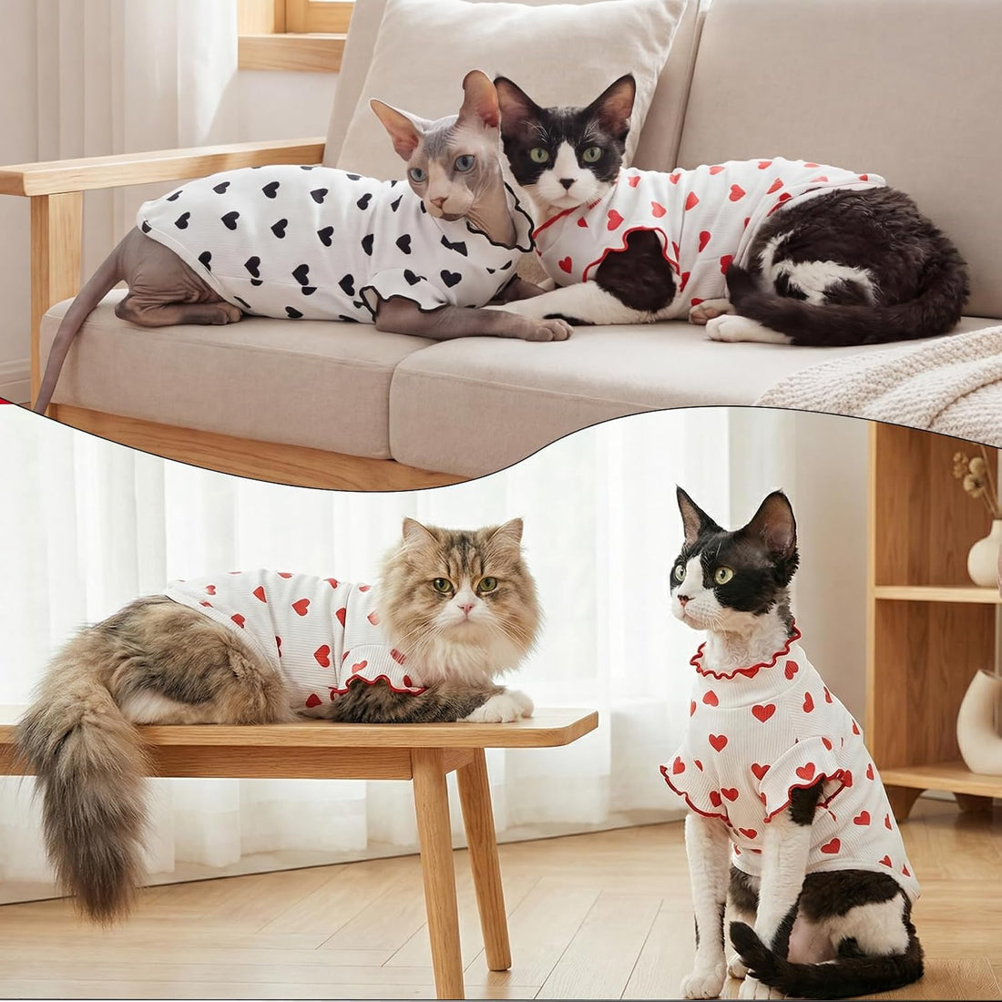 DENTRUN Heart Pattern Sphynx Hairless Cats Shirt