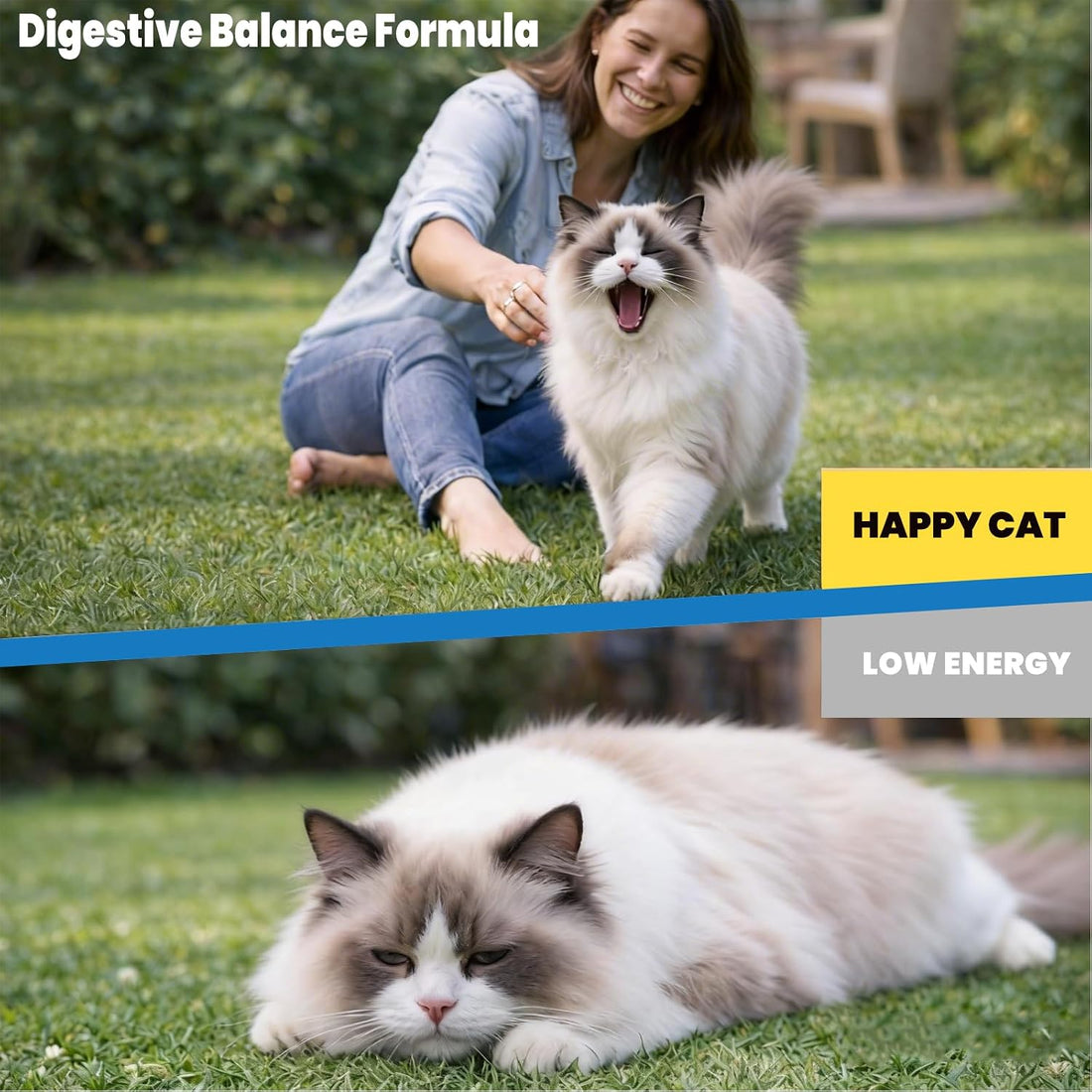 Cat Dewormer for Cats & Kittens, Dewormer Tablets