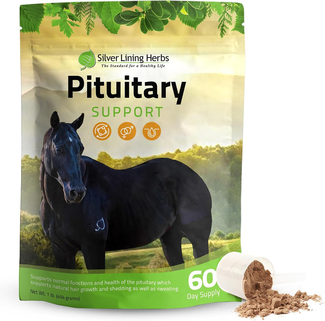 Silver Lining Herbs Horse Pituitary Gland Supplements - 1 lb
