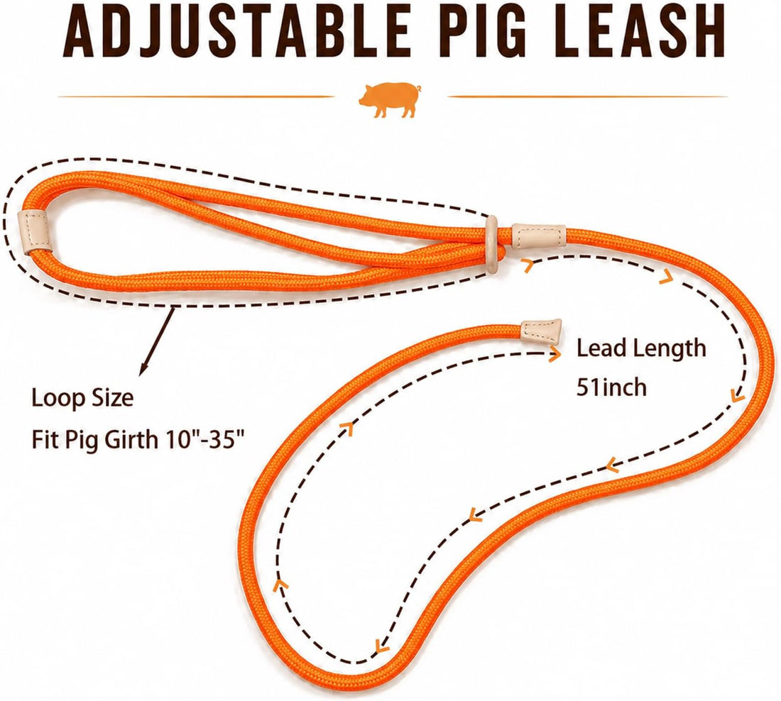 Pig Harness and Leash for Mini Pig, Goat