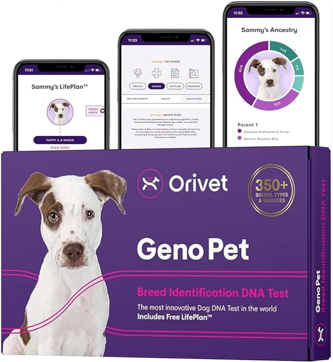 ORIVET GenoPet Dog DNA Test, 365+ Breeds, Health, Ancestry