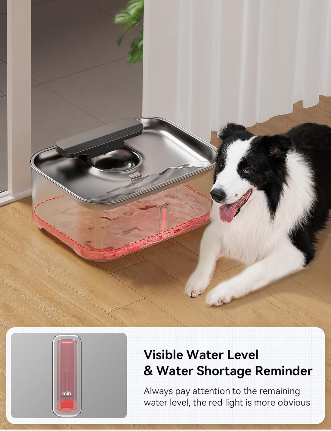 3.2Gal Stainless Steel Dog Water Fountain for Large Dog