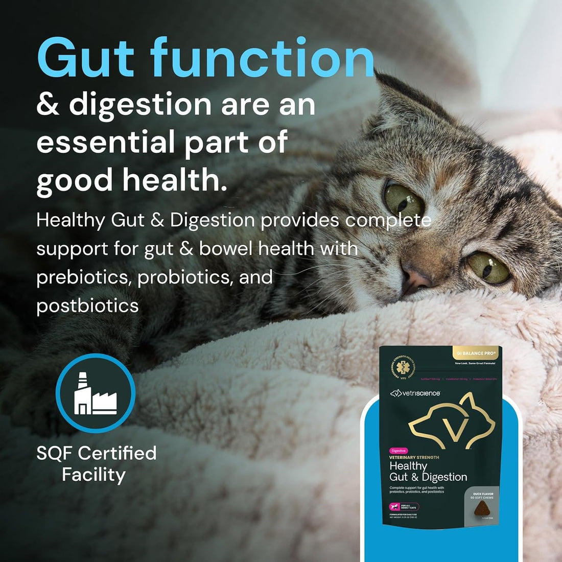 VetriScience Veterinary Strength Healthy Gut & Digestion, 60 Count