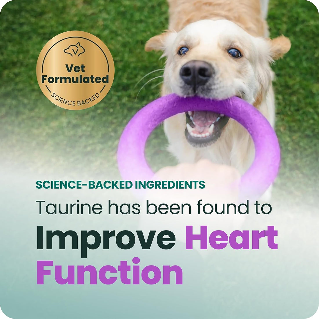 VetriScience Extra Strength Healthy Heart Chews for Dogs, Chicken