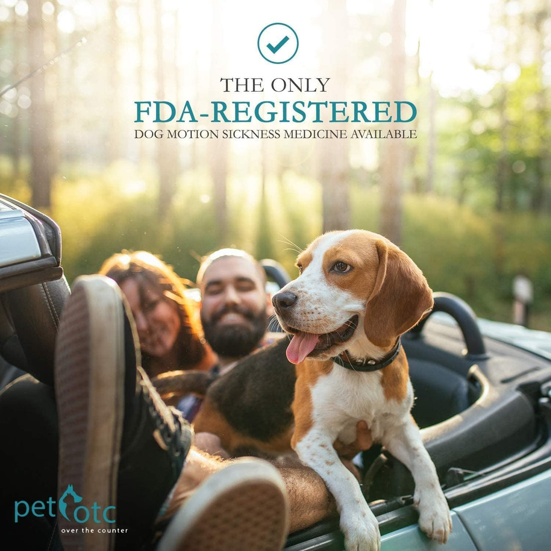 Anti-Motion Sickness and Nausea Relief for Medium Breed Dogs