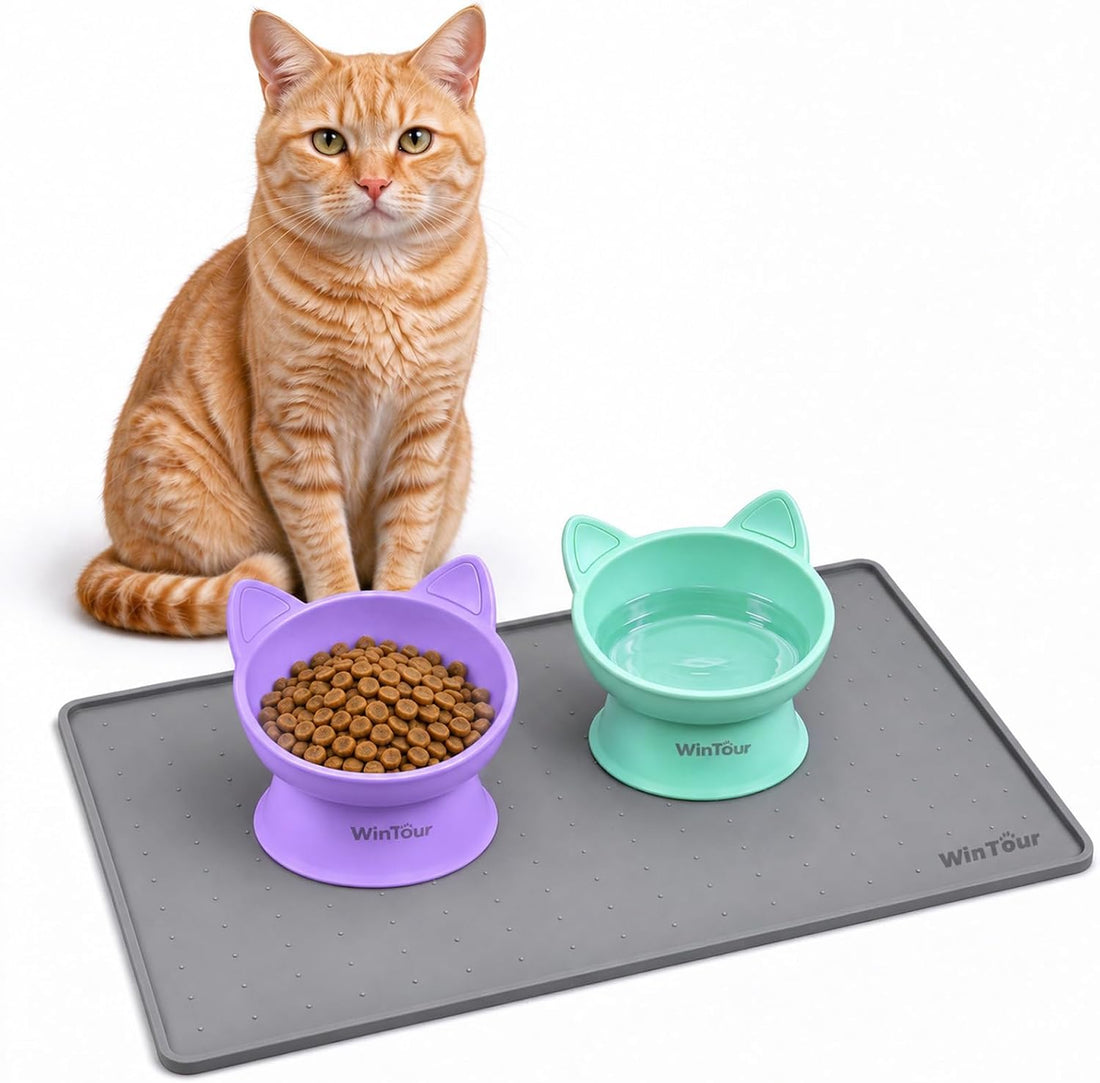 WinTour 2 Pack Elevated Cat Bowls with Food Mat
