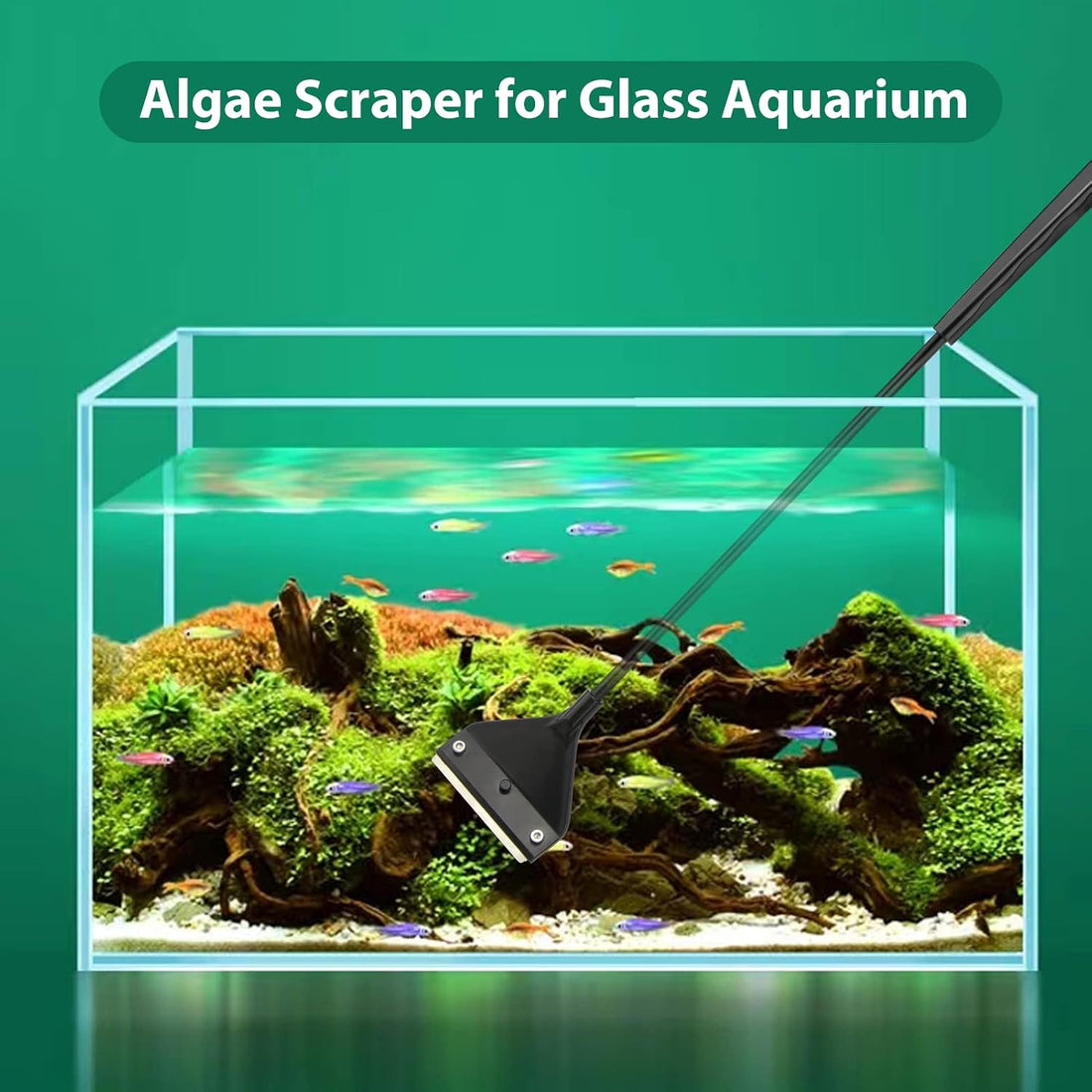 Vimvins Algae Scraper for Glass Aquarium,Aquarium Razor Scraper