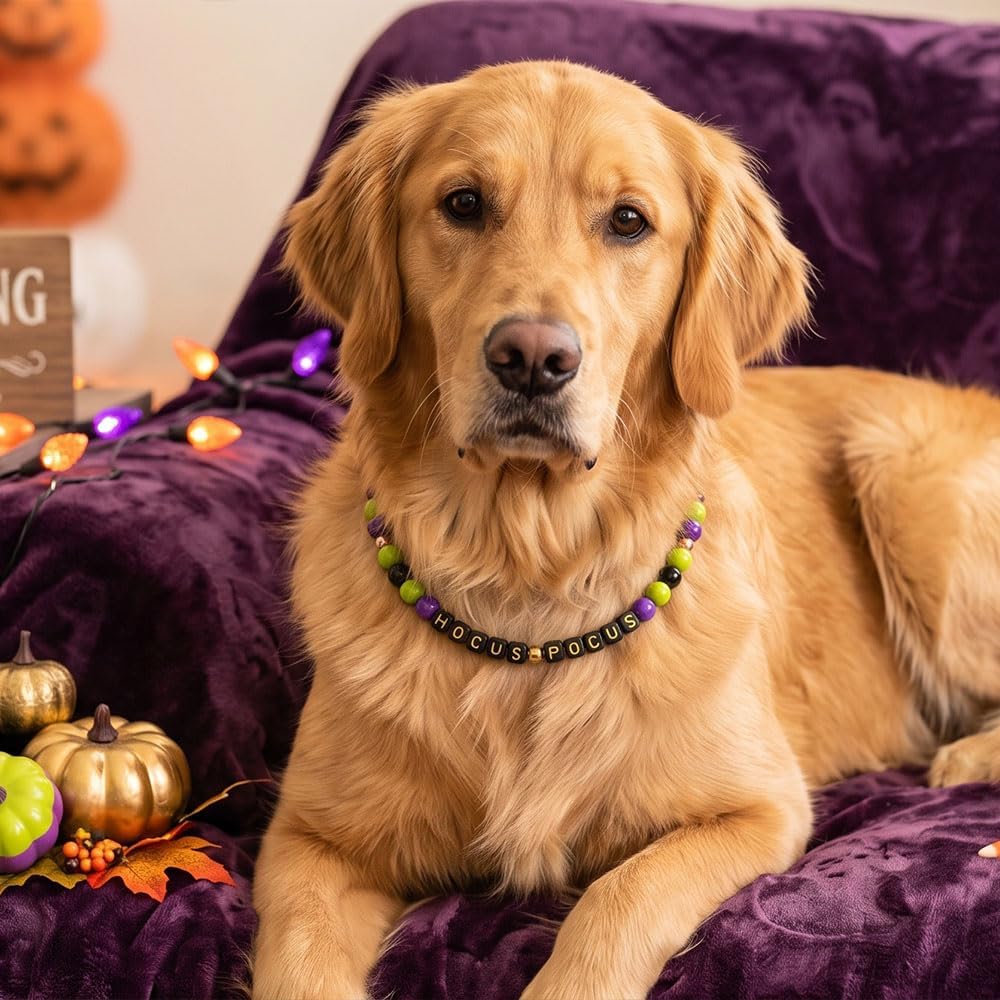 Halloween Beaded Pet Necklace Collar Dog Cat Holiday Costume Collar