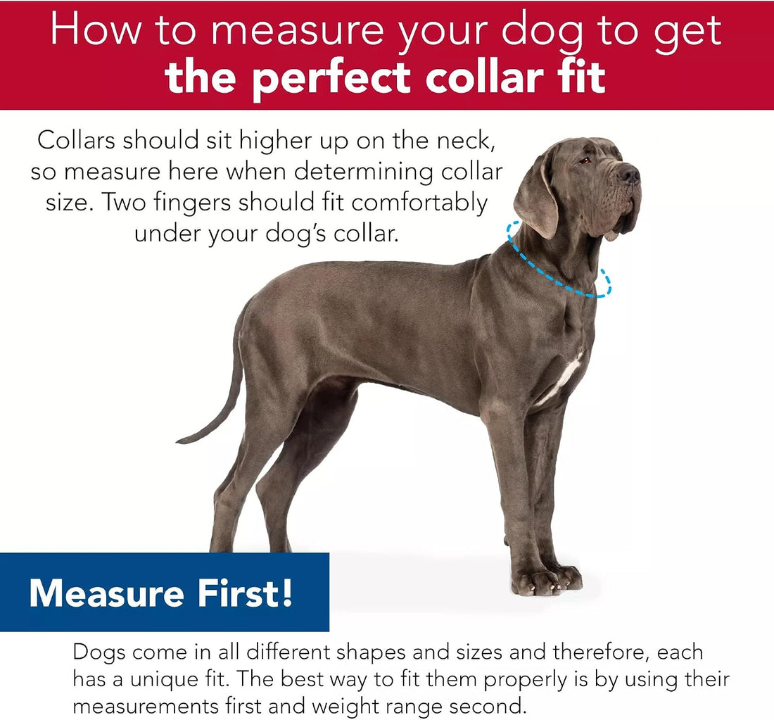 Coastal Pet SecureAway Collar Protector for Flea Collars