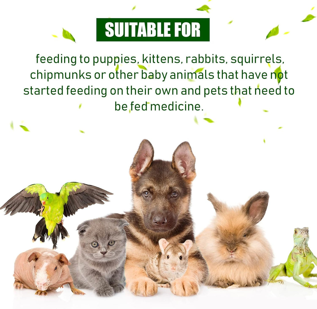 Patelai 4 Pcs Pill Shooter Pet Medicine Feeder
