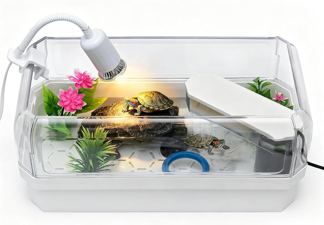 Turtle Tank Starter Kit for Baby Turtle,6.57 Gallon Aquarium Medium