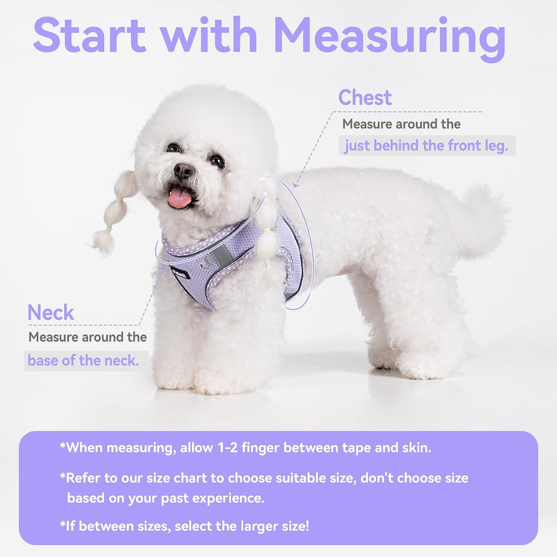 Petank Dog Harness for Small Medium Dogs No Pull