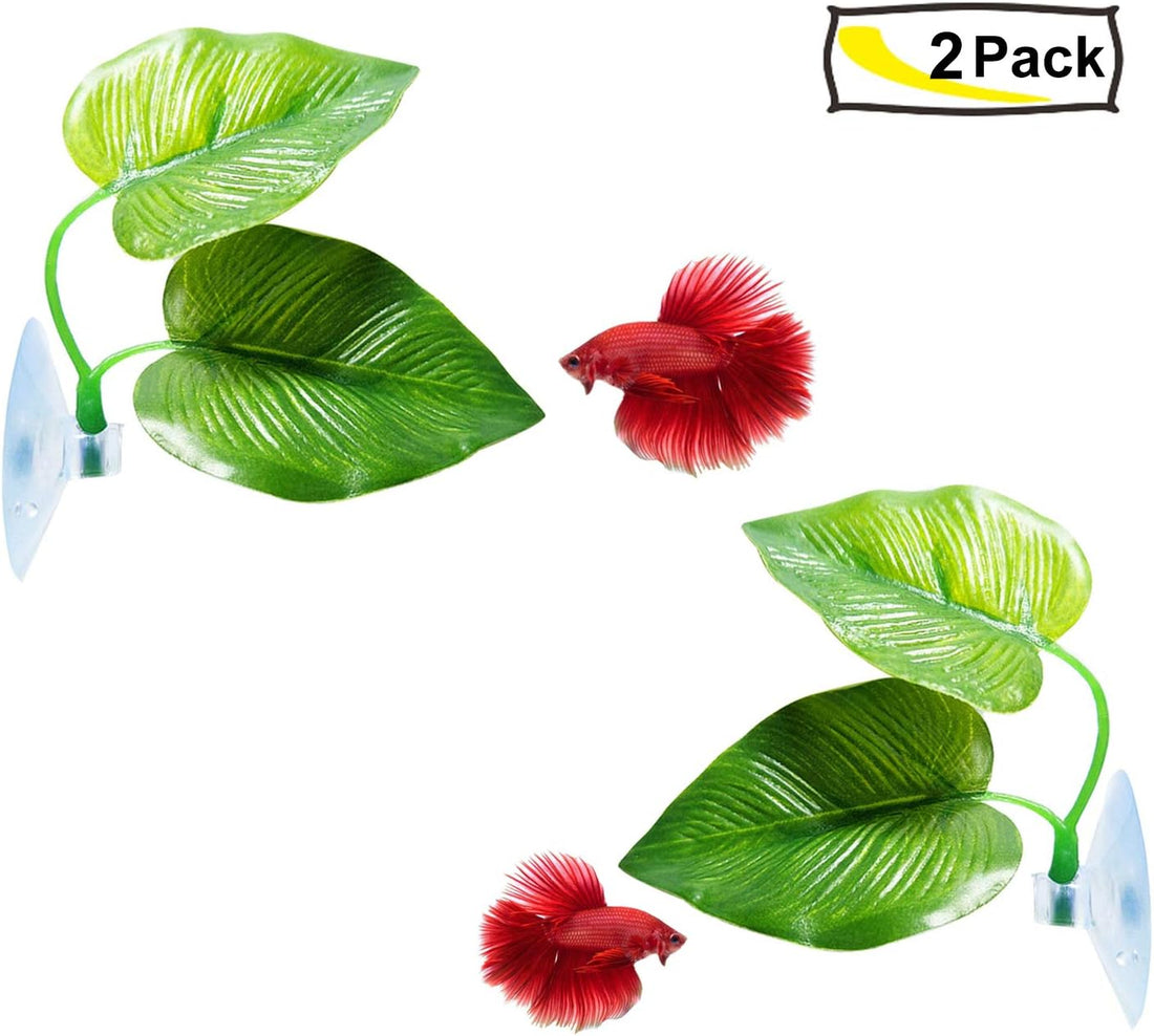 CousDUoBe 2 Pack Betta Fish Leaf Pad Improves Betta's Health by